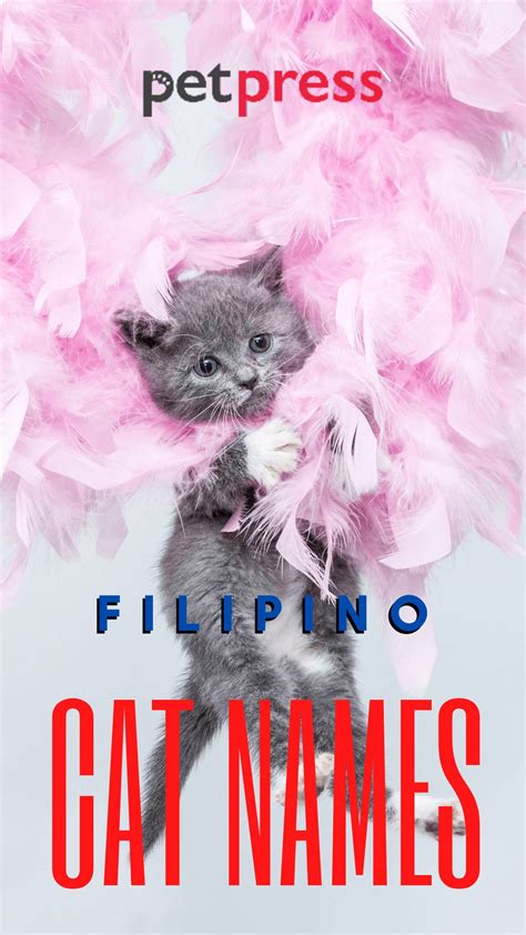 PET (Tagalog).